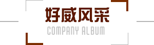 好威風(fēng)采