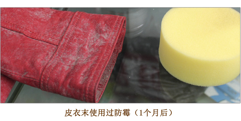皮革發(fā)霉菌