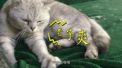 LV包包翻新修復(fù)