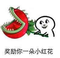 真皮改色