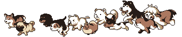 duilian_gou.gif