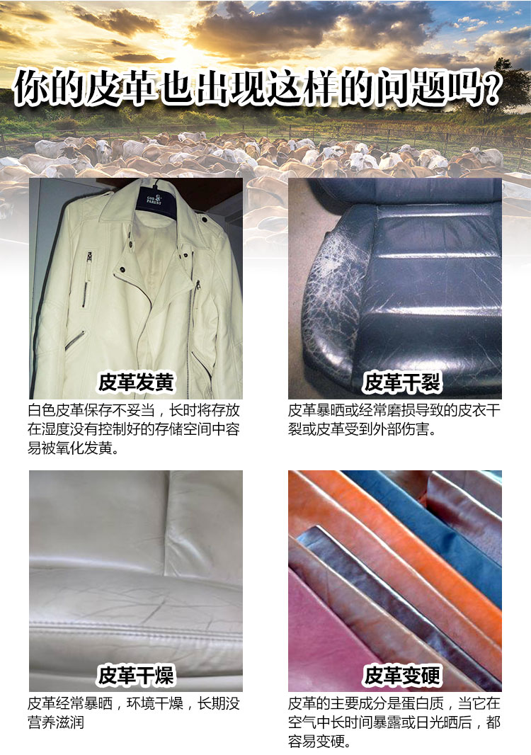 真皮護理