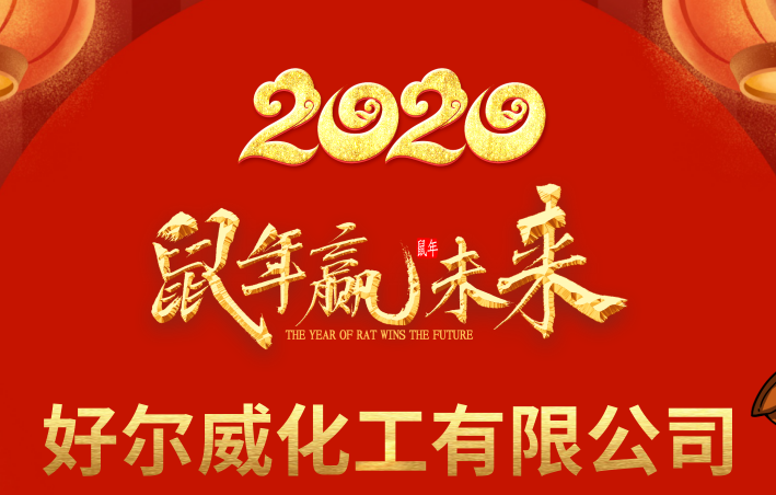 好威2019總結(jié)表彰大會(huì)暨2020迎新春晚會(huì)