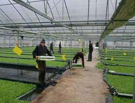 1565138349745005.jpg 360截圖20190807084503155.jpg