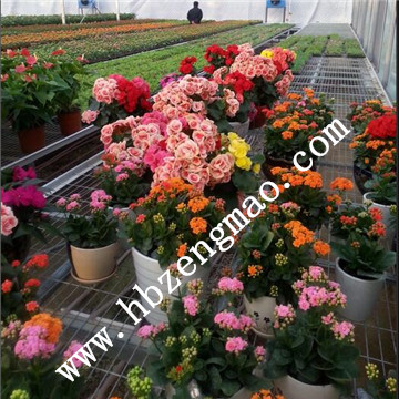 <a href='/' target='_blank'><a href='/' target='_blank'>溫室苗床</a>網(wǎng)</a>廠家