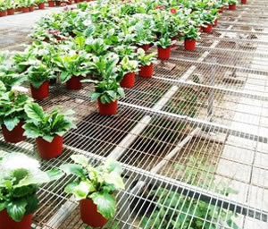 溫室苗圃網(wǎng)